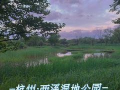 -西溪国家湿地公园