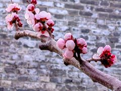 -北京明城墙遗址公园