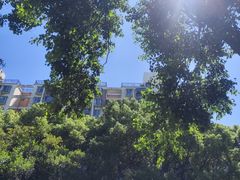 -碧云新天地家园