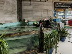 -楚鱼王·河鲜·湖北菜(华农店)