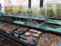 水产区-新海利海鲜城·41年珠海老字号(夏湾店)