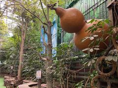 -呀路古热带植物园