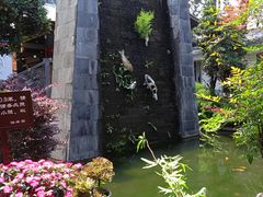-瑞丰园庭院餐厅·白族传统家常菜