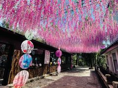 -善卷洞风景区