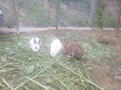 -大连天门山国家森林公园