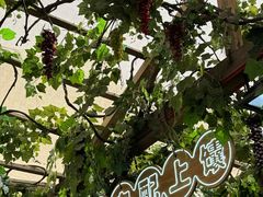 -新疆国际大巴扎