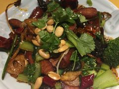 -素虎小呆鸟(西二旗店)