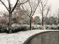 -深业半汤御泉庄温泉