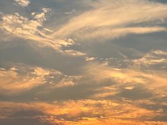 -昆山城市生态森林公园