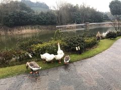 门面-天目湖涵田半山温泉