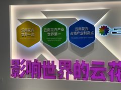 -昆明国际花卉拍卖交易中心