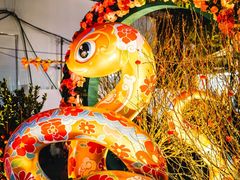 -越秀西湖花市(广州城市广场花卉店)