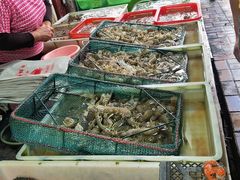 -都斛海鲜街