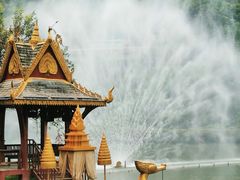 -西双版纳原始森林公园