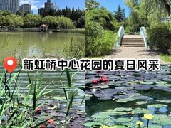-新虹桥中心花园