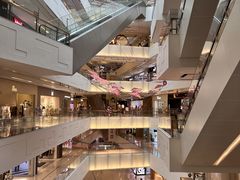 -岭南站NOVA