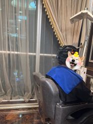 -八佰伴8008星级形象店