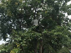-北京鹫峰国家森林公园