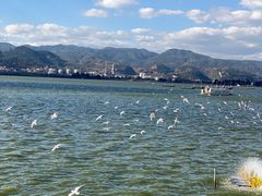 -海埂大坝