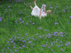 -白鹭湾湿地公园