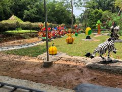 -广东茂名森林公园