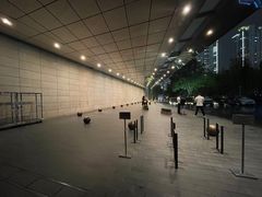 -The lounge 柏悦酒店大堂酒廊(上海环球金融中心店)