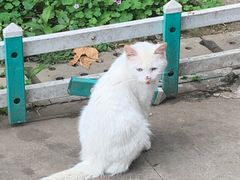 -菊花台公园