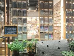 -猫的天空之城概念书店(杭州南宋御街店)