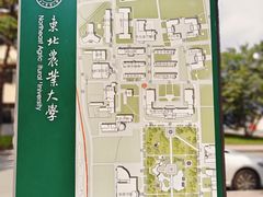 -东北农业大学
