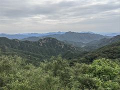 -大岭沟猕猴桃谷风景区