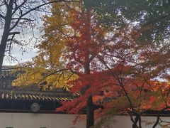 -西园戒幢律寺
