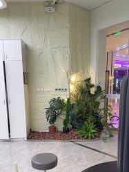 -慕名造型