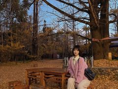 -腾冲国萍农家乐
