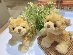 -金鹰国际购物中心(江都店)