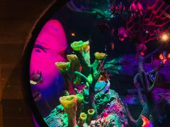 -沈阳海洋探索中心