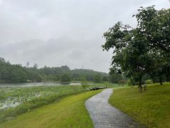 -福建鲤鱼洲酒店