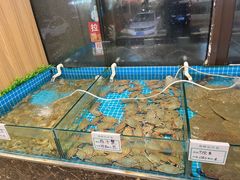 -渡海小渔村.老辈日照菜