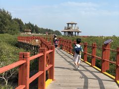 -北海金海湾红树林生态旅游区