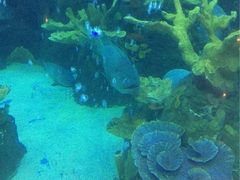 -成都浩海立方海洋公园