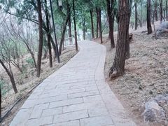 -大运河源头遗址公园