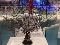 -上海中国航海博物馆