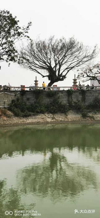 洛阳桥图片