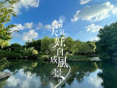 -巡塘古镇