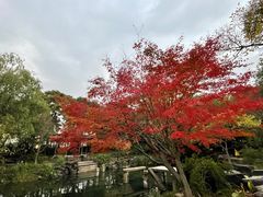 -惠山古镇·寄畅园