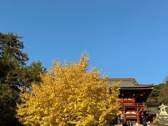 -鹤冈八幡宫