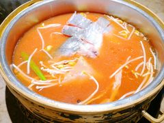 酸汤鱼-酸喜·三度酸·贵州味