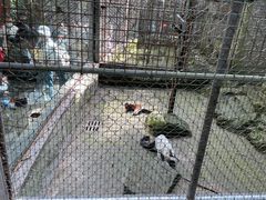 -杭州动物园