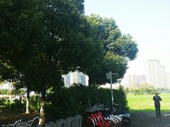 -映月湖中央公园