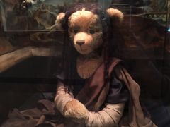 -济州岛泰迪熊博物馆