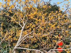 -无锡梅园公园